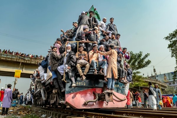 L'Amazonie : Le Pouls Essentiel de Notre Patrimoine Biodiversitaire